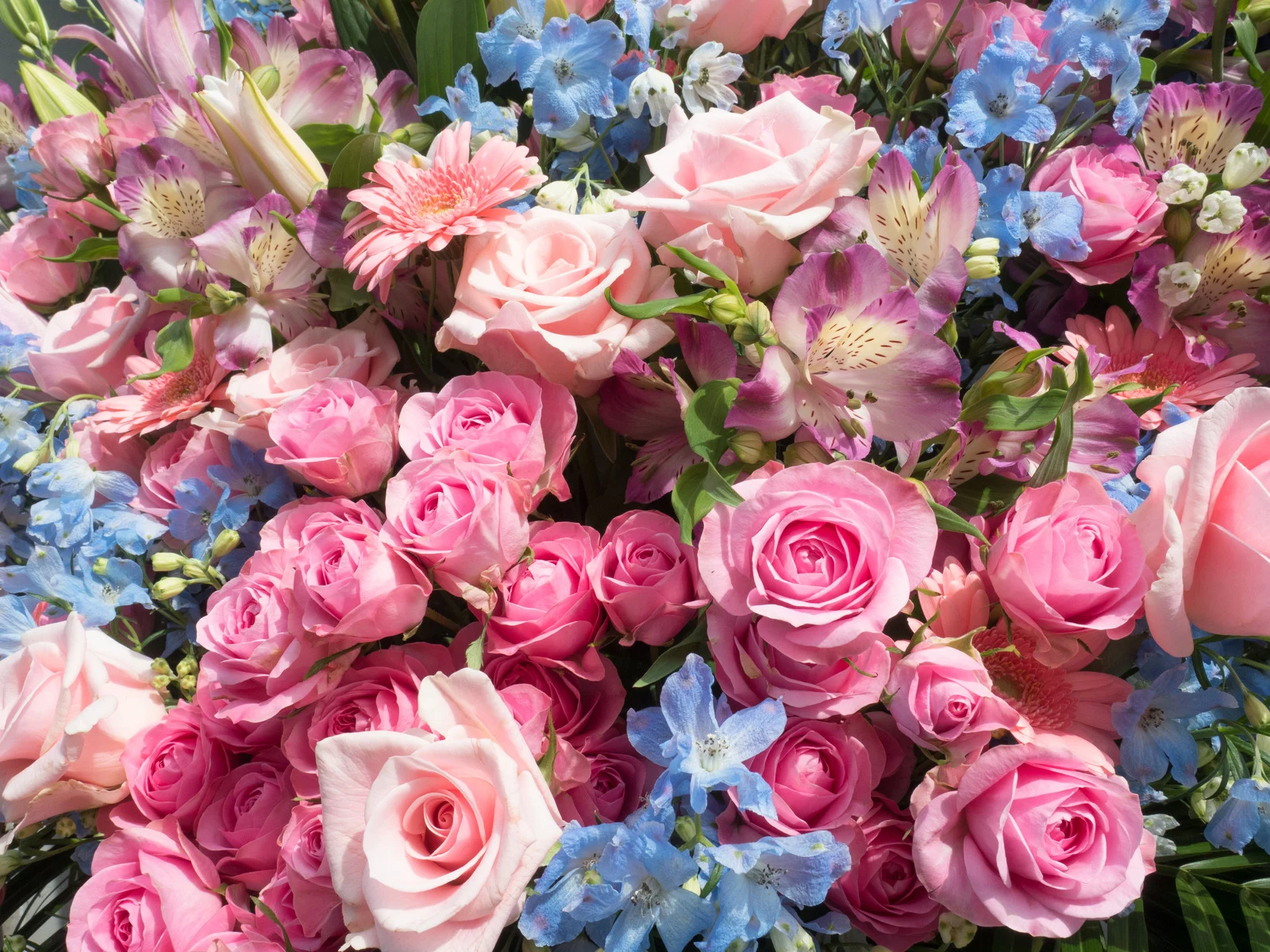 Anniversary Flowers