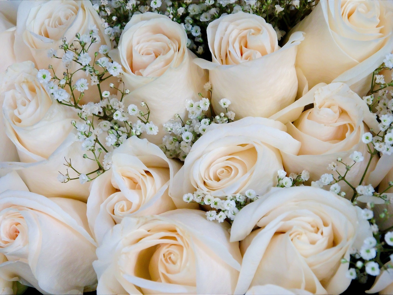 Rose Bouquet
