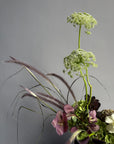 Interior Arrangement “Autumn Archive” — viburnum, roses, hydrangea