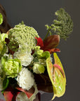 Flower Box “Urban Jungle Chic” — rose veggie, hydrangea, anthurium