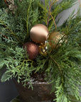 Christmas Arrangement in a Vase “Honey Baby”