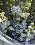 Mono Bouquet "Blue Delphiniums"