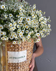 Basket with Daisies & Pearls