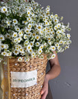 Basket with Daisies & Pearls