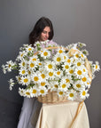 Grande Flower Basket with Daisies
