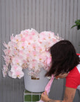 Flower Box “Everyone’s Type” — pink hydrangeas, orchids