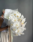 Bouquet “Quiet Luxury” — orchids