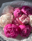 Bouquet of Trio Mixed Peonies