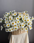 Grande Flower Basket with Daisies