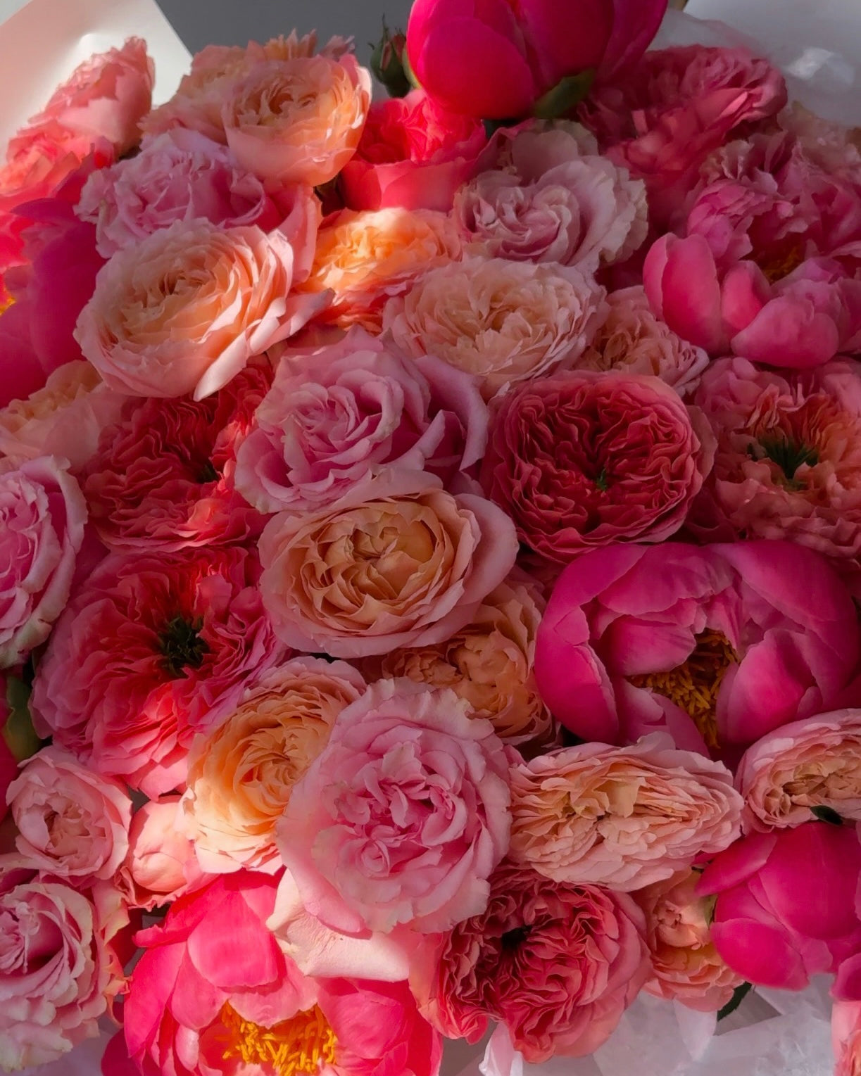 Bouquet “Garden roses & peonies” - Julietta & Pink Expression garden roses, Coral Charm peonies