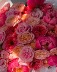 Bouquet “Garden roses & peonies” - Julietta & Pink Expression garden roses, Coral Charm peonies