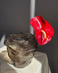 Interior Vase N. 5