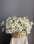 Grande Flower Basket with Daisies