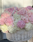 Flower Basket “Say Nothing. Send This” — hydrangeas