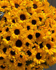 Vase Arrangement “Sun Therapy Max” — 300 sunflowers