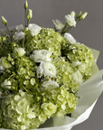 Bouquet “Chic Verdant” - hydrangeas, ranunculuses, chamomiles