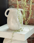 Amphora Modern Vase