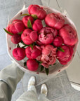 Bouquet "Coral Charm Peonies" - My Peonika Flower Shop