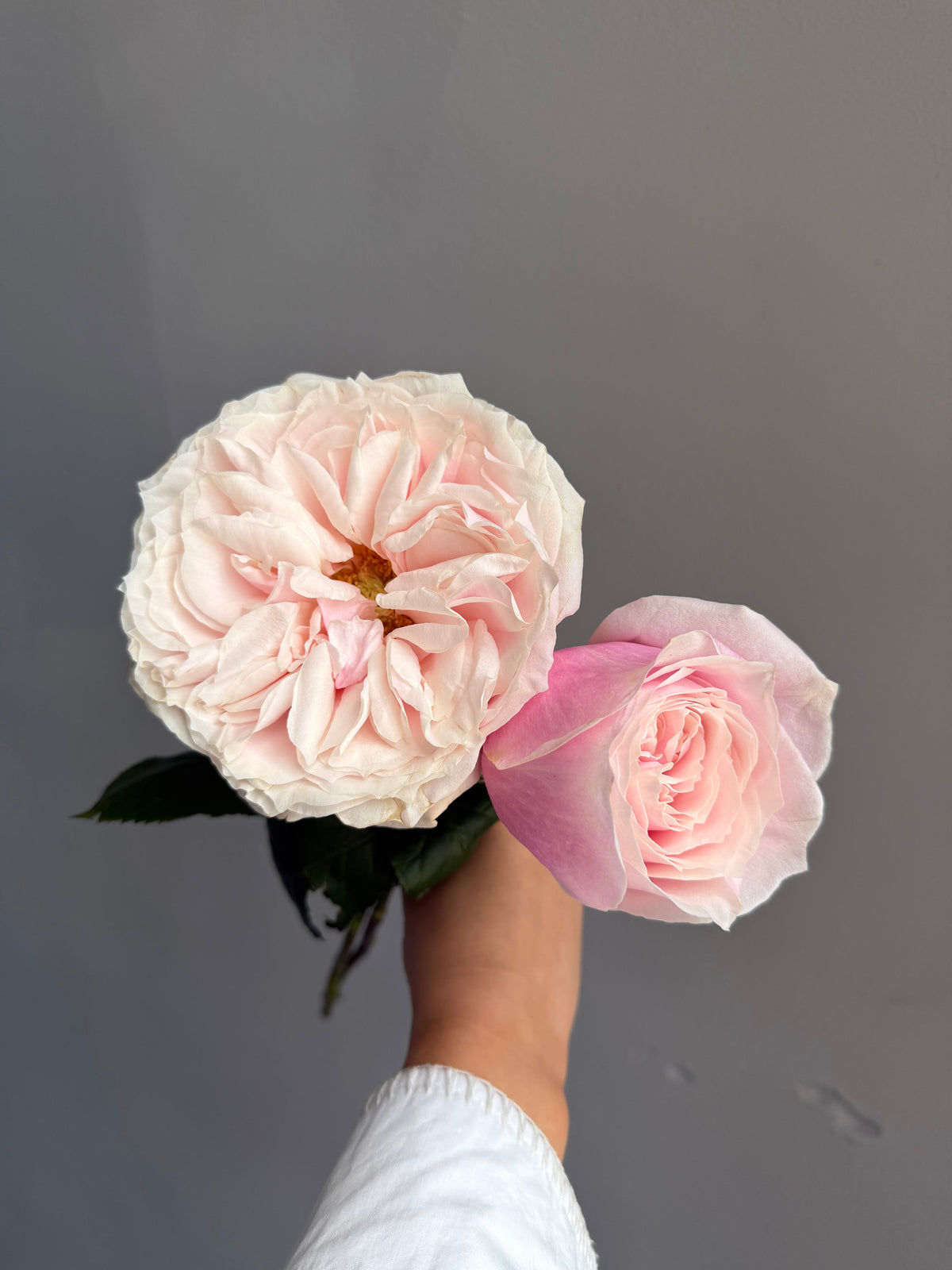 36 roses bouquet