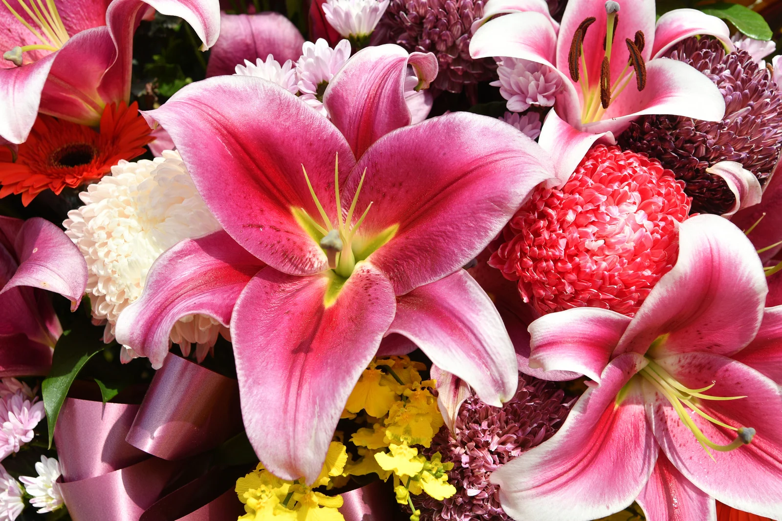 Flower delivery in Hollywood