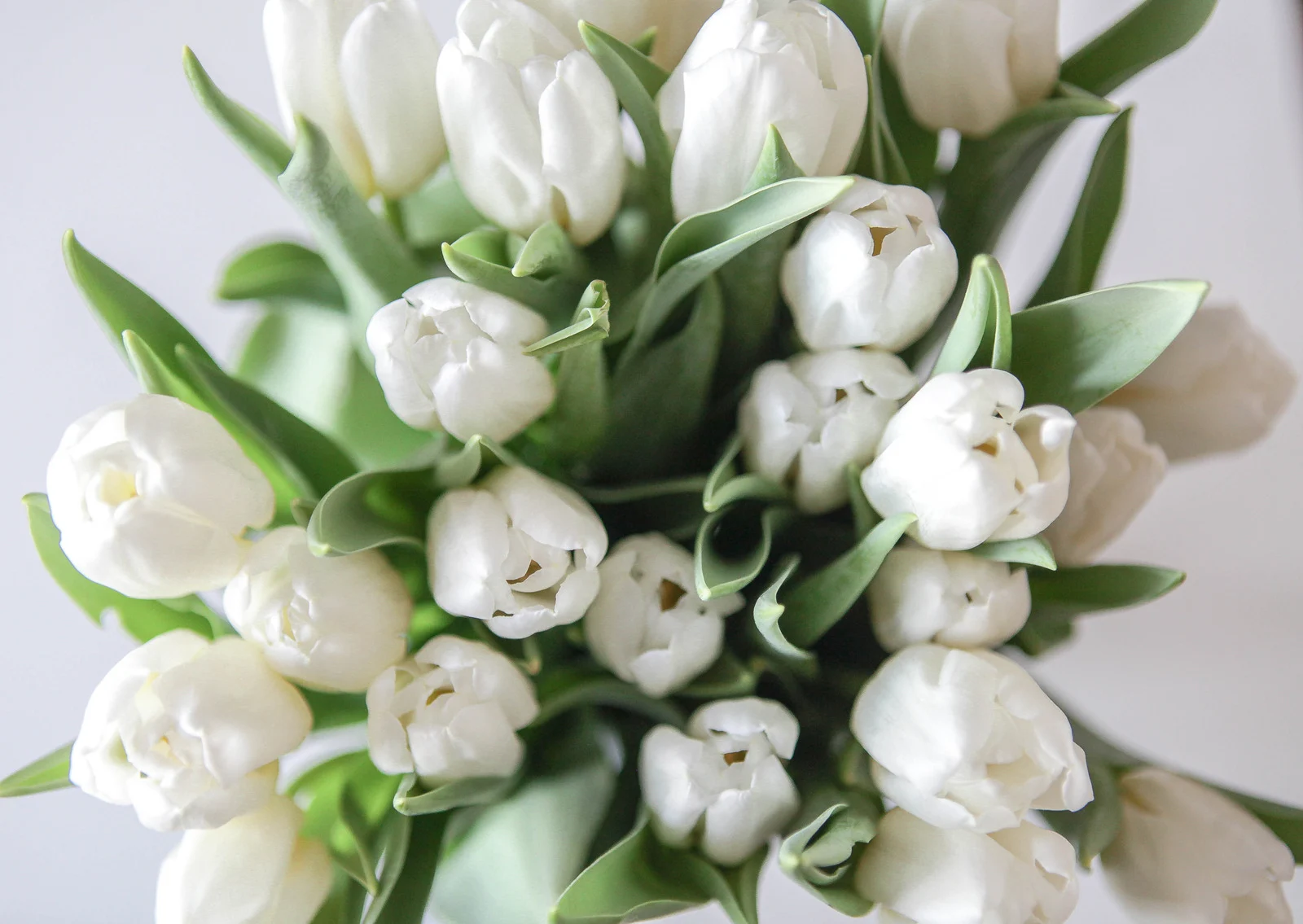 Flower delivery in Palmetto