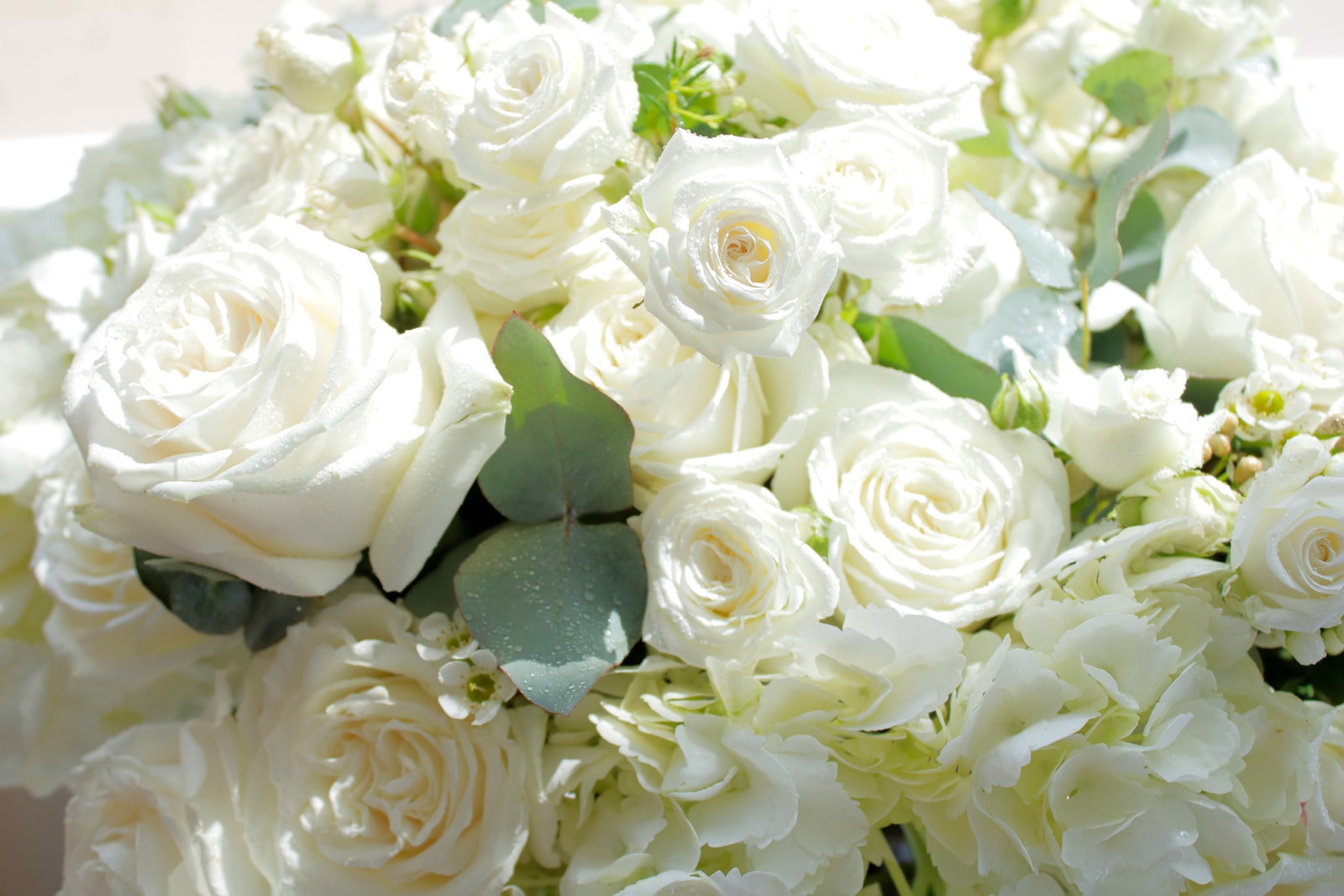 Flower delivery Sunny Isles