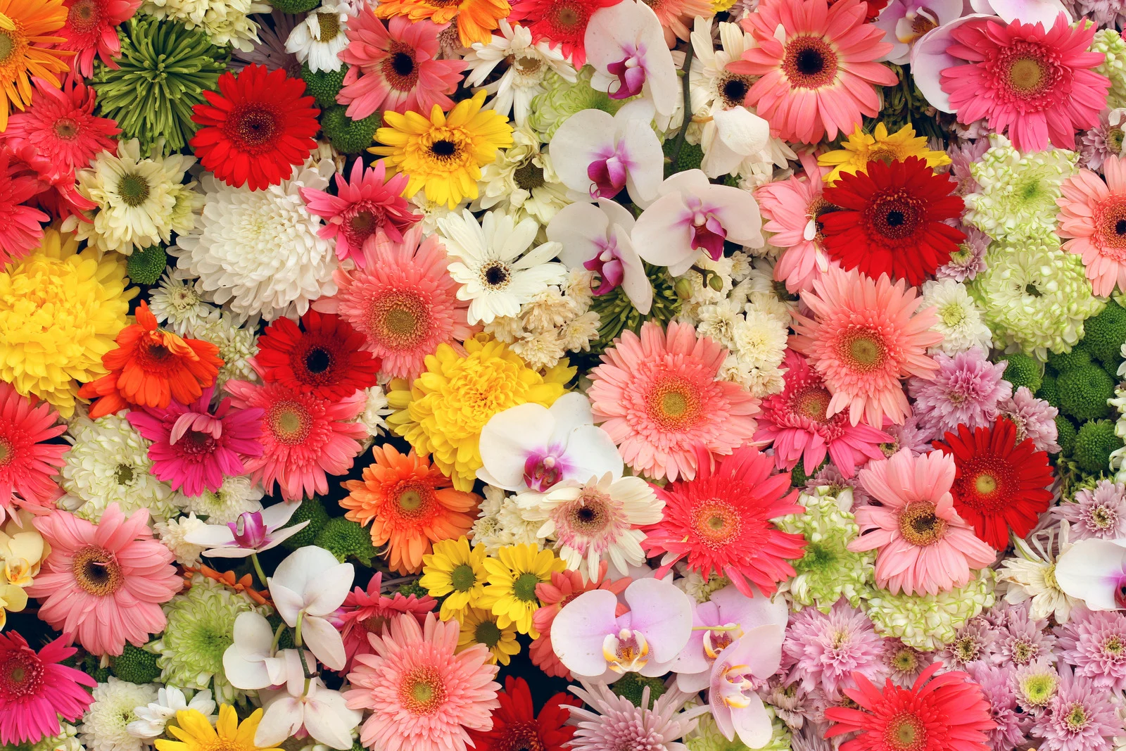 Hallandale Beach, FL Flower Delivery