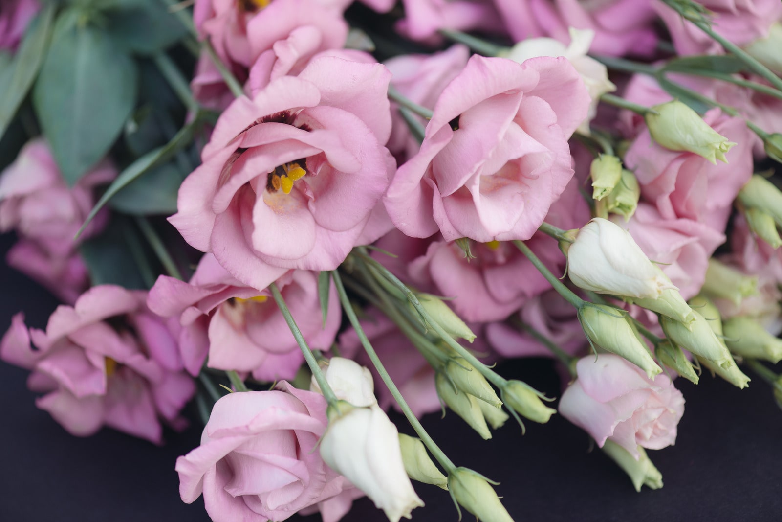 Lisianthus Flower Bouquet