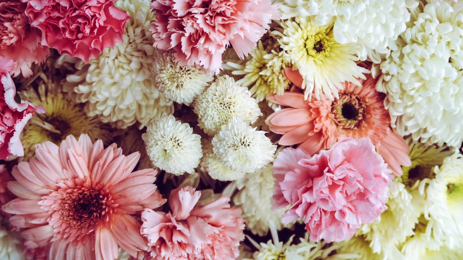 New Baby Flowers