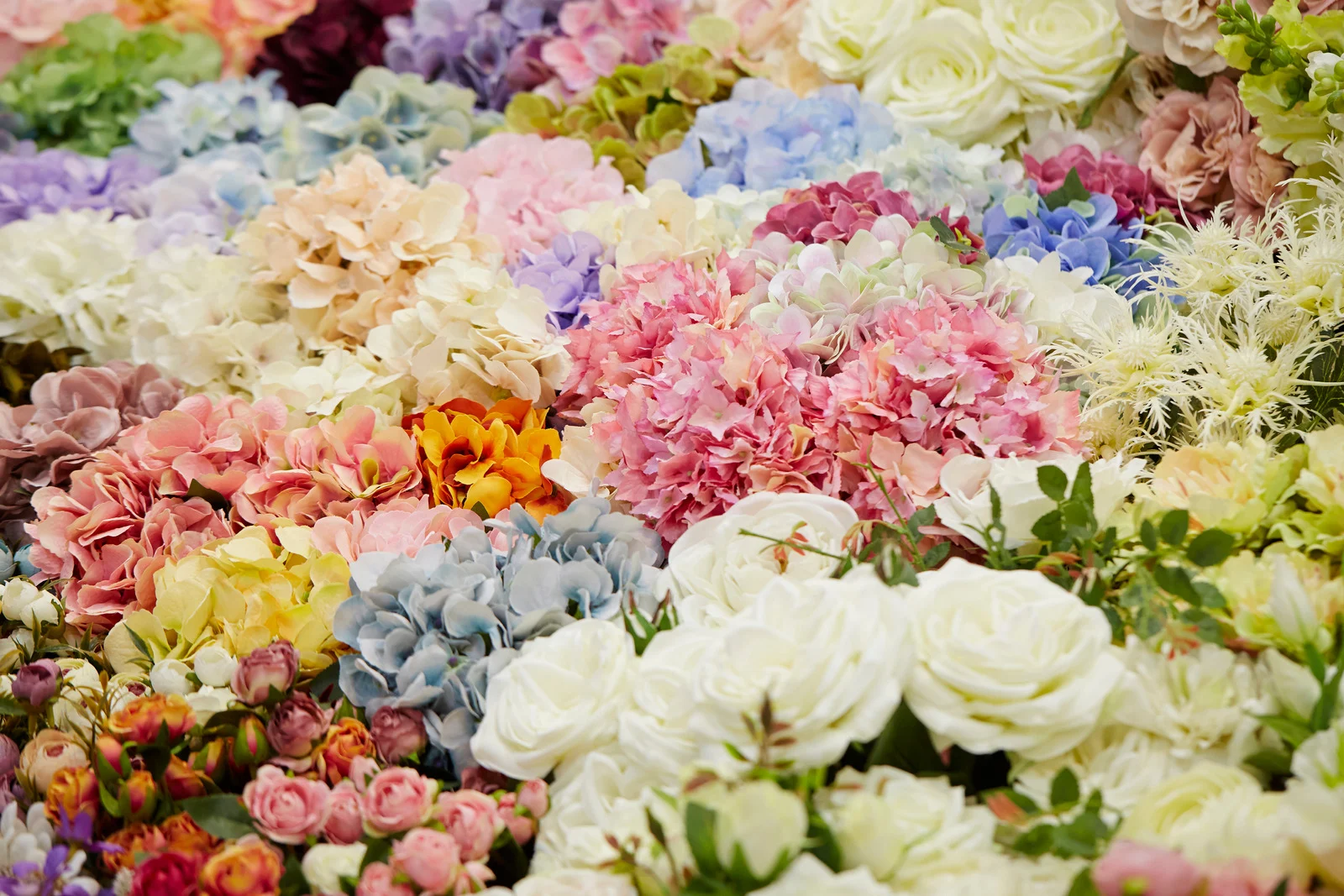 Sympathy & Funeral Flowers