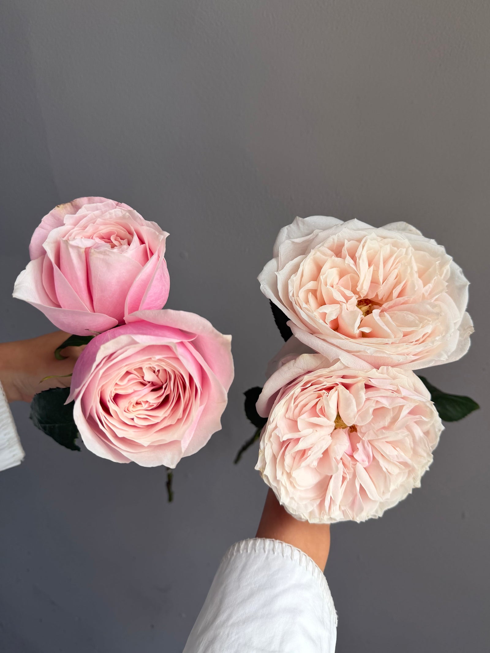 Bouquet “Yuyi Garden” — roses