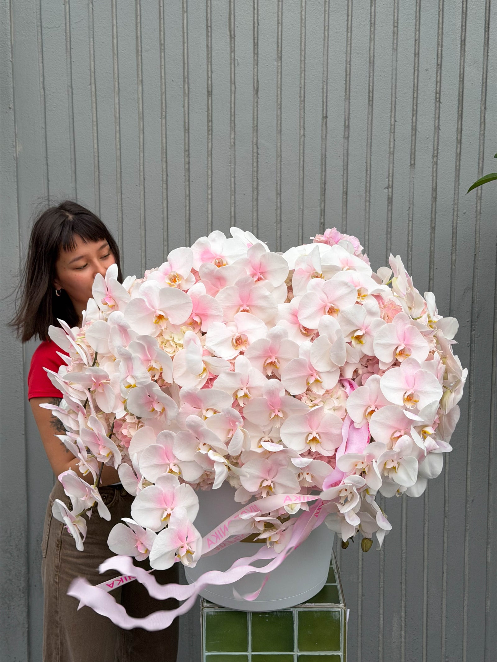 Flower Box “Everyone’s Type” — pink hydrangeas, orchids