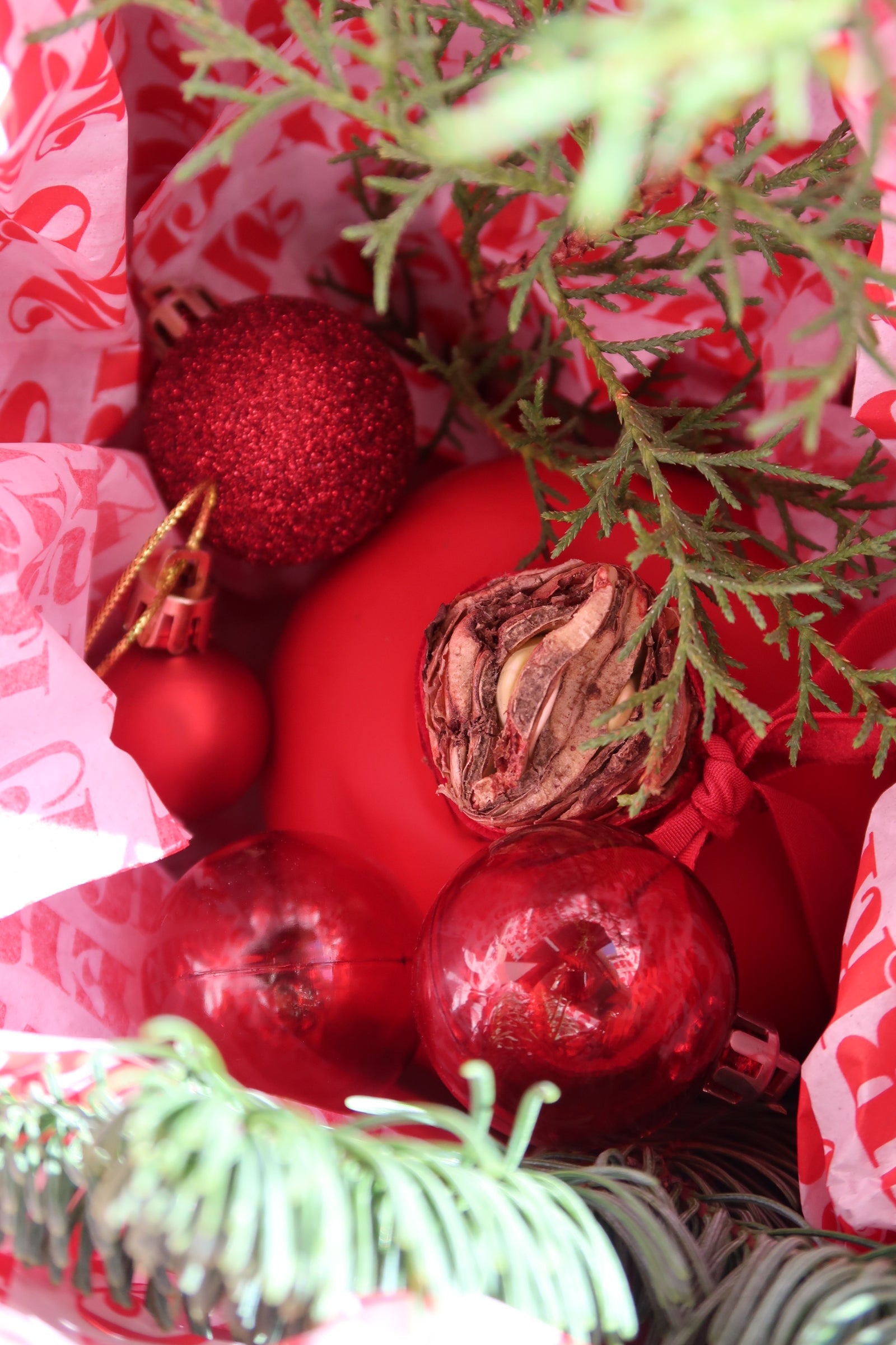 Amaryllis Wax Set of Three