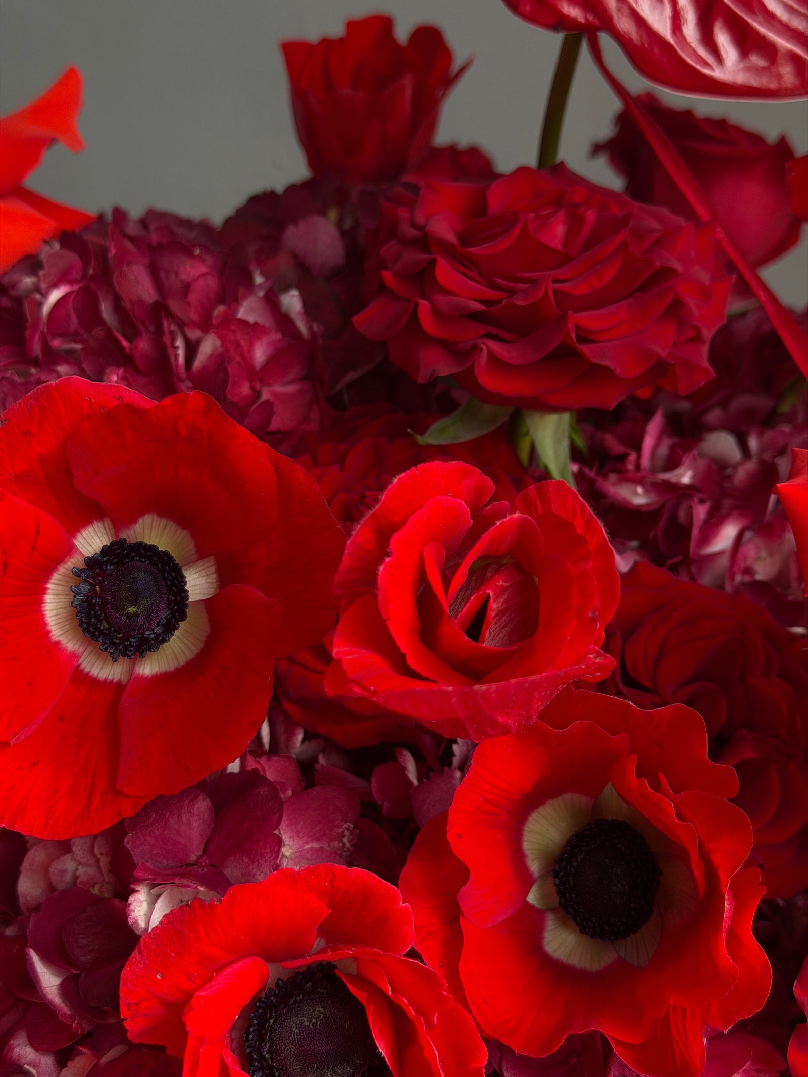 Flower Basket “Body Language” — anemones, roses, anthurium, hydrangea