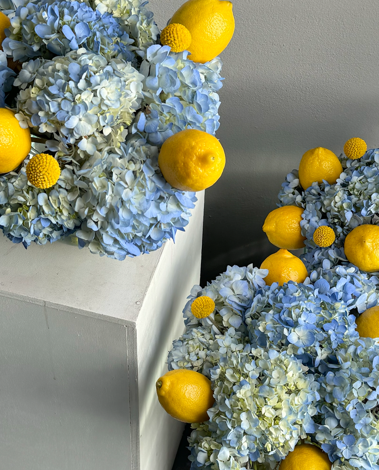 Floral arrangements “Lemon tree” - hydrangeas, lemons