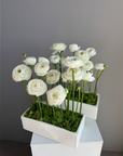Floral arrangements “Heavenly light” - ranunculuses