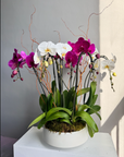 Floral arrangement “Twillight” - dark pink and white orchids with moss and curly willow
