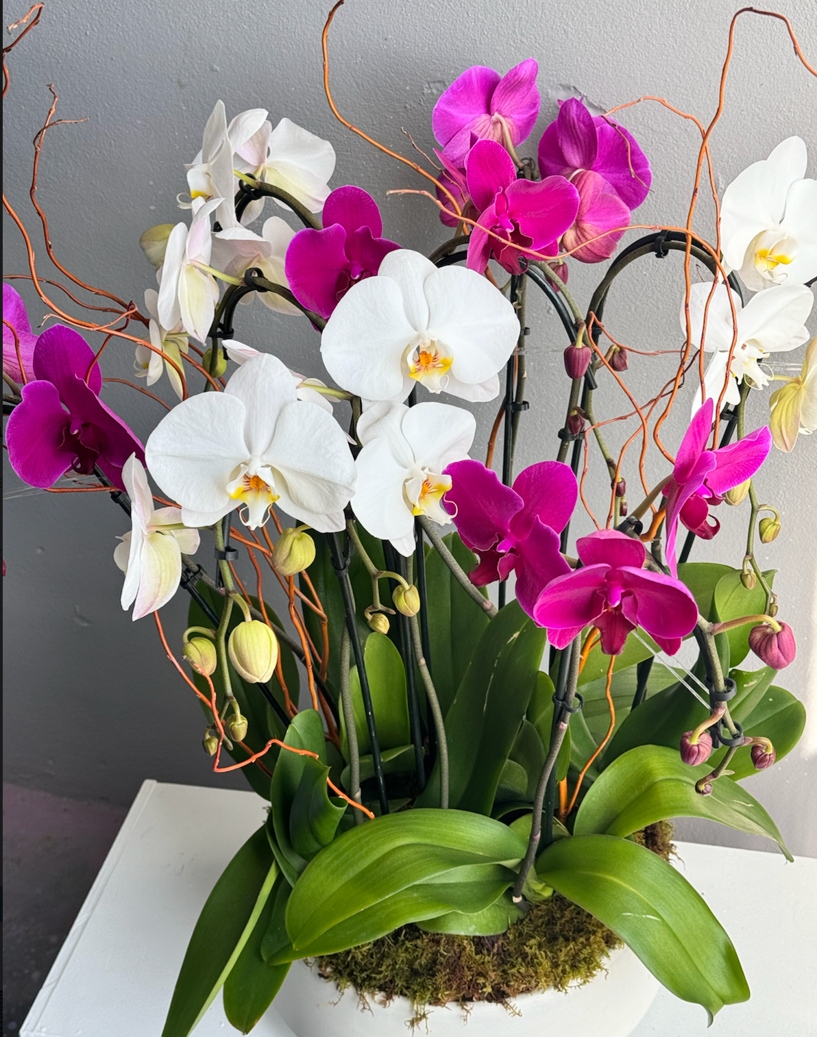 Floral arrangement “Twillight” - dark pink and white orchids with moss and curly willow
