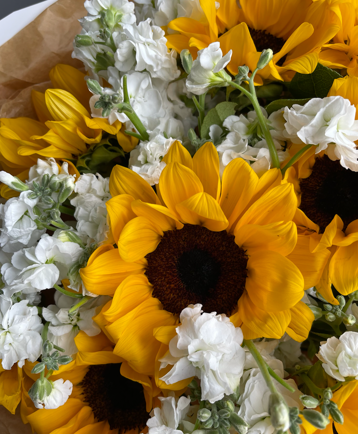 Bouquet &quot;Honey&quot; - sunflowers, stock