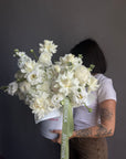 Flower Box “Tender White” — hydrangeas, peonies, ranunculus, lisi, white stock