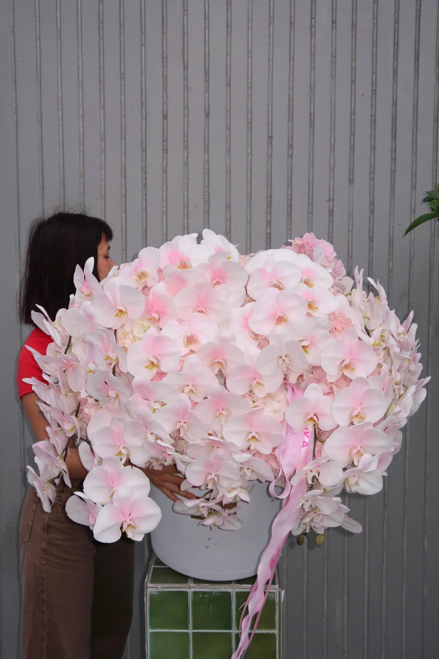 Flower Box “Everyone’s Type” — pink hydrangeas, orchids
