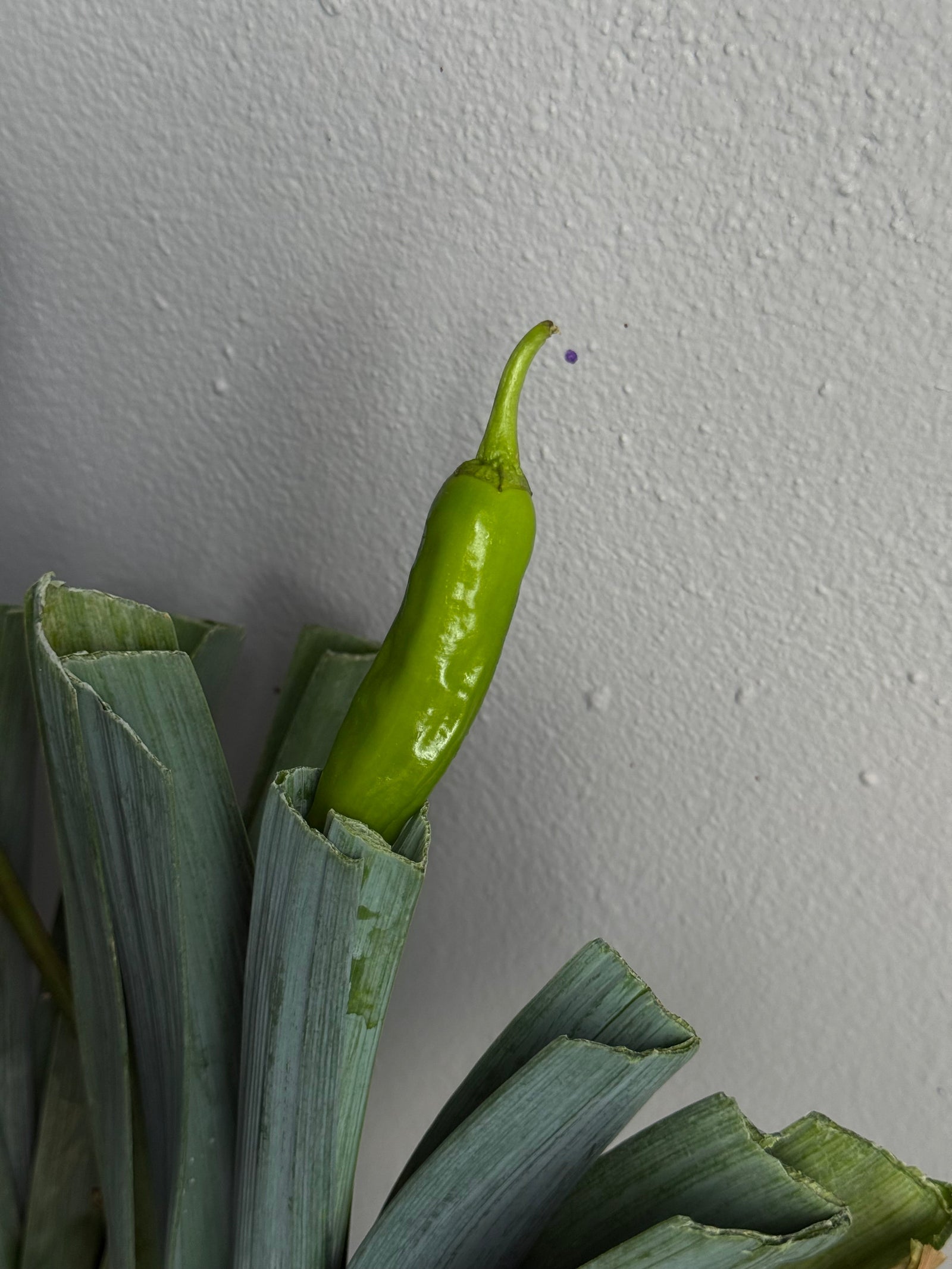 Interior Arrangements Set “Vibrant Core” — calla lilies, rose veggie, assorted vegetables