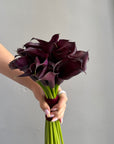 Bridal Bouquet “Dark Romance” — burgundy calla lilies