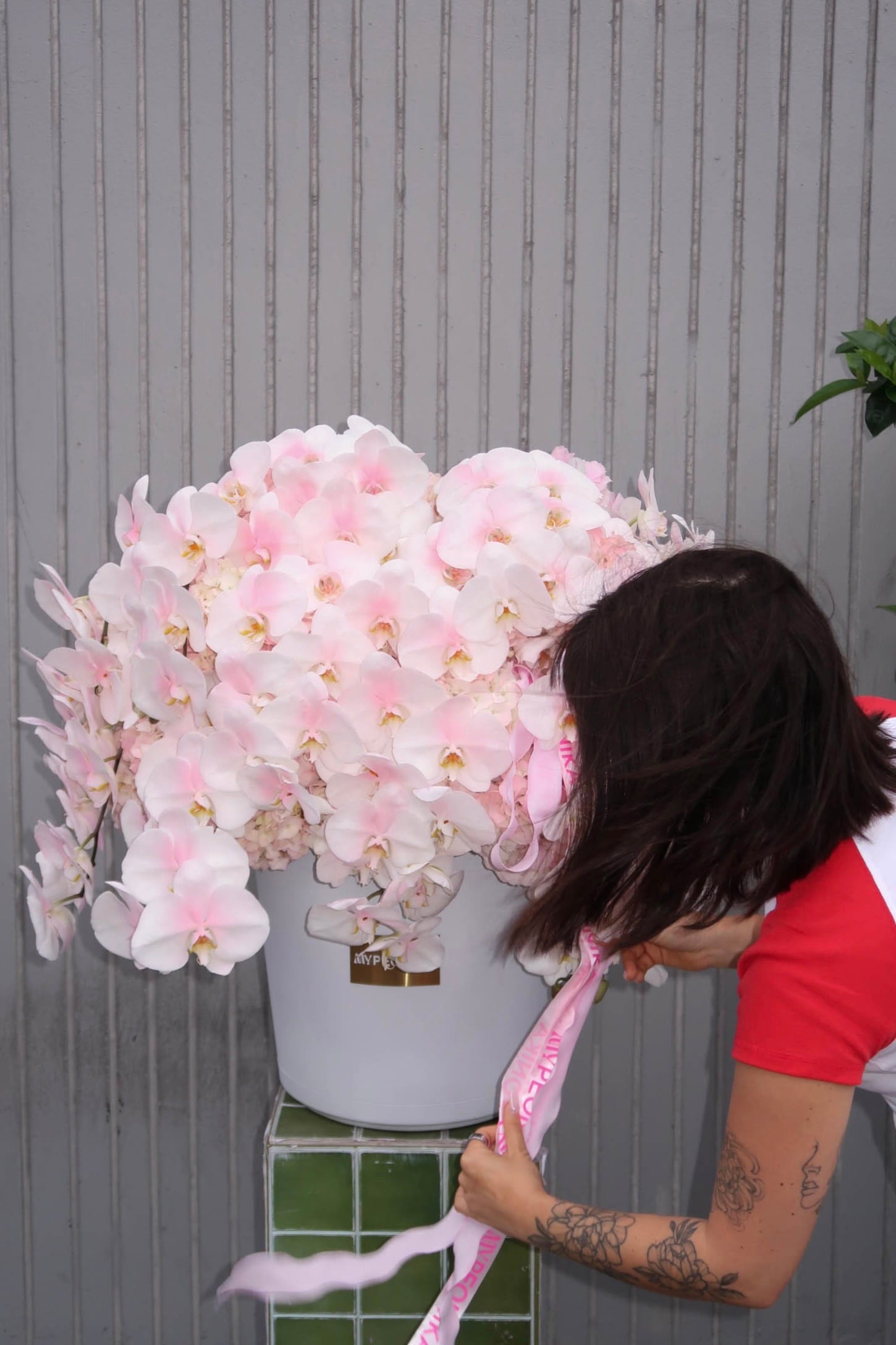 Flower Box “Everyone’s Type” — pink hydrangeas, orchids