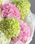 Bouquet "Hydrangea Lover" - pink, green and white hydrangeas