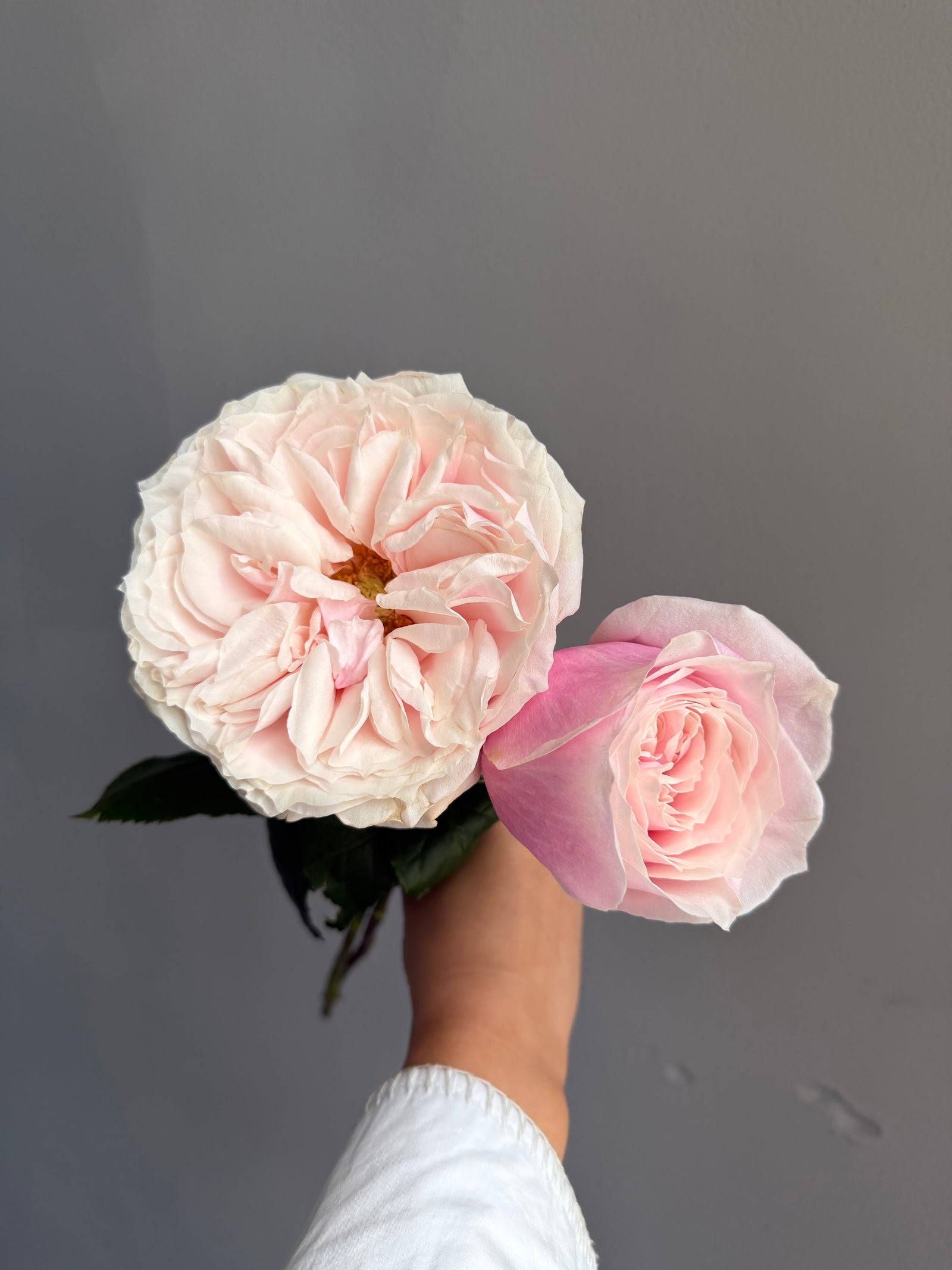 Bouquet “Yuyi Garden” — roses