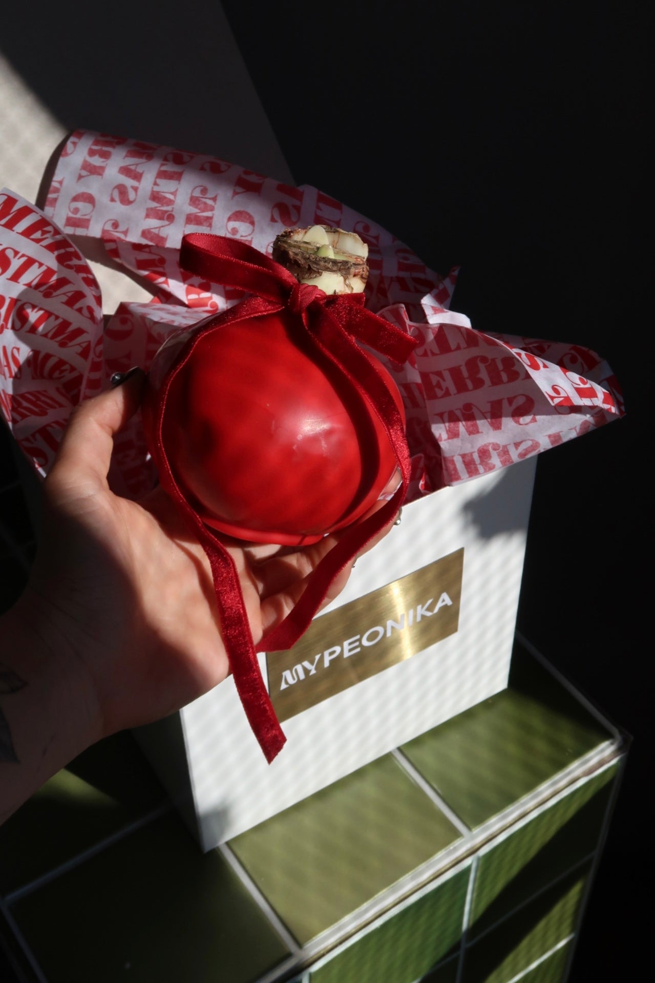 Amaryllis Wax Set of Three