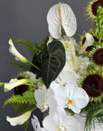Interior Arrangement “Modern Muse” — orchid, anthurium, sunflower, calla lilies