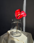 Interior Vase N. 4