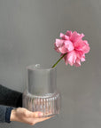Interior Vase N. 4